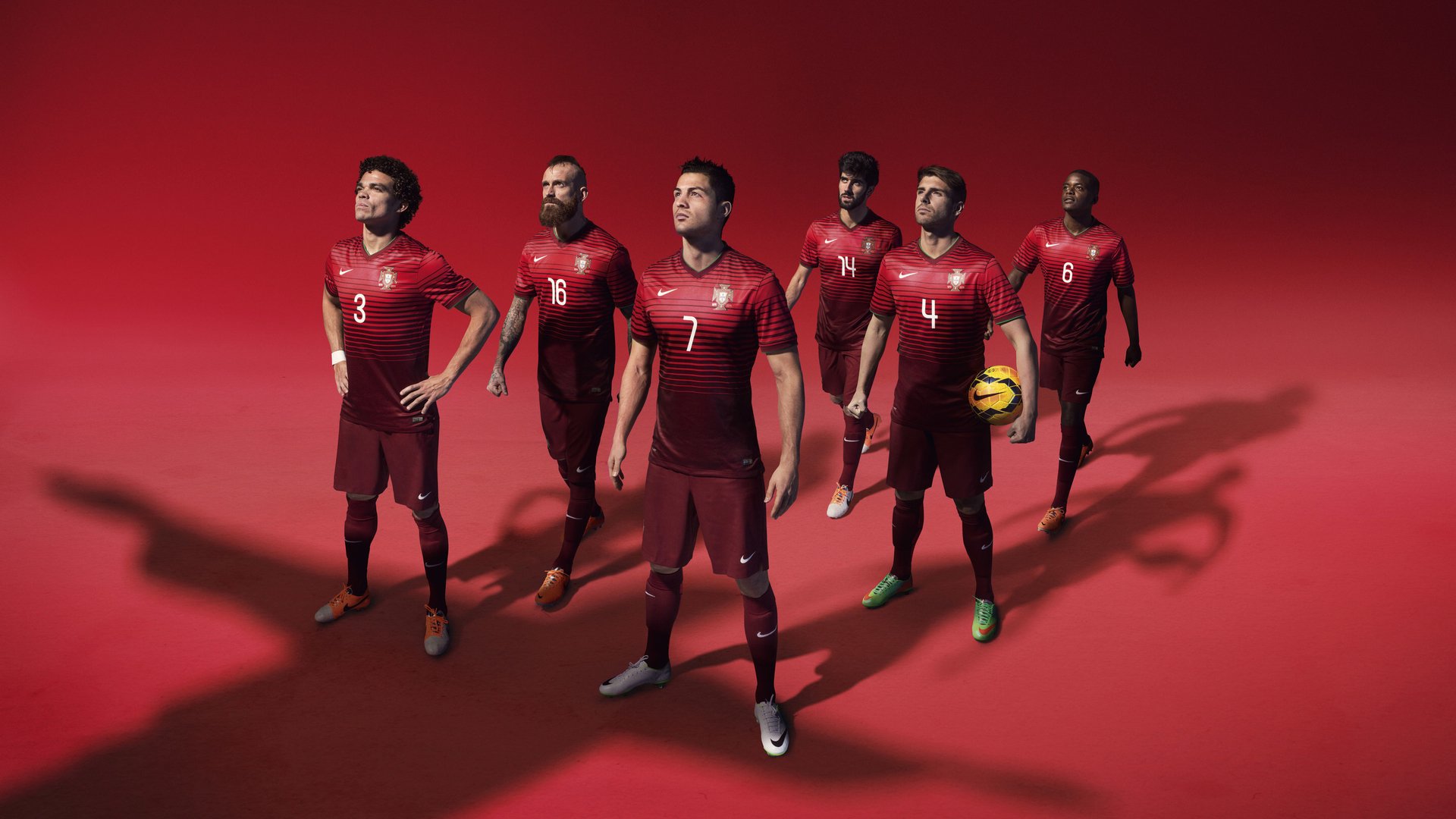 德国马术协会建立马匹基因数据库，促进马匹选育与训练。，德国马协fn